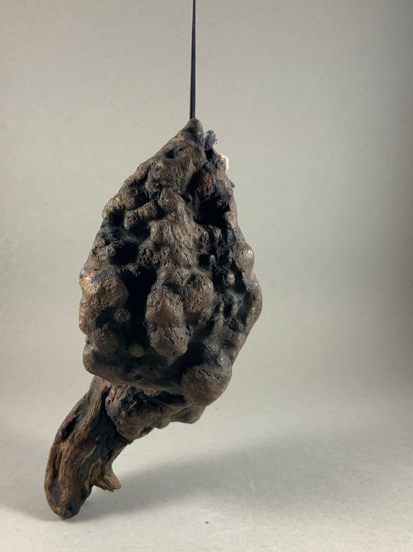 Argile fibrée : Les symbiotes : fée de bord de mer 6