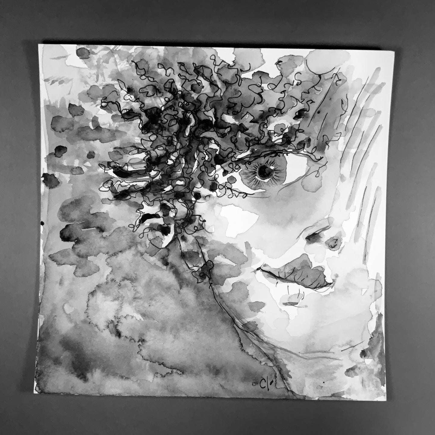 Les petites carrées #5